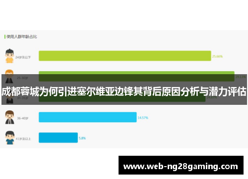 成都蓉城为何引进塞尔维亚边锋其背后原因分析与潜力评估