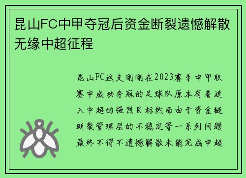 昆山FC中甲夺冠后资金断裂遗憾解散无缘中超征程
